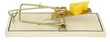 Wood mouse trap with cheese