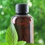 Using Peppermint Oil as a Natural Mouse Repellent