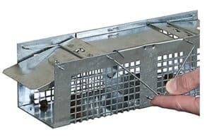 havahart live mouse trap