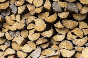 Wood pile used as hiding place for mice Wood pile used as hiding place for mice