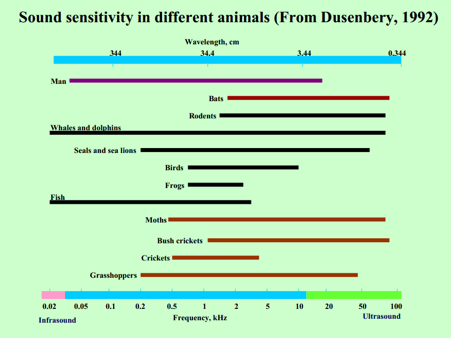 Sound Sensitivity Chart in different animals