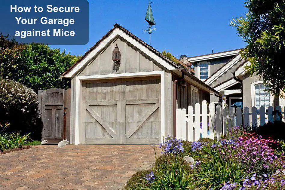 How to Keep Mice Out of the Garage