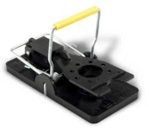 plastic snap mouse trap