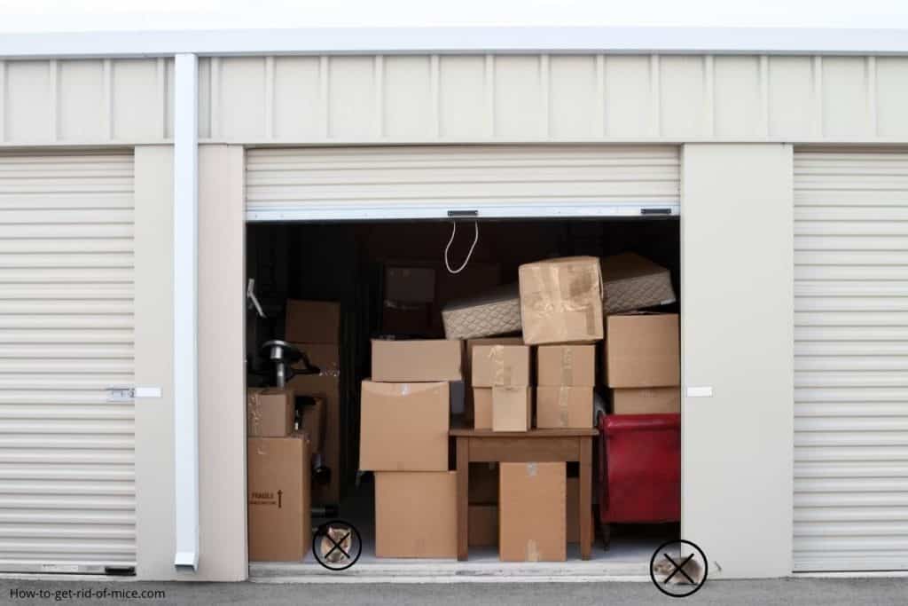 storage unit shown with mice sneaking inside