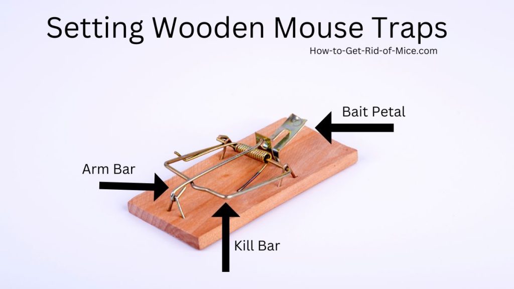 wooden mouse trap with key parts identified